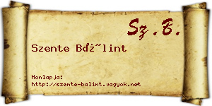 Szente Bálint névjegykártya